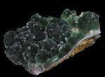 Botryoidal Green Fluorite, Henan Province, China #31463-1